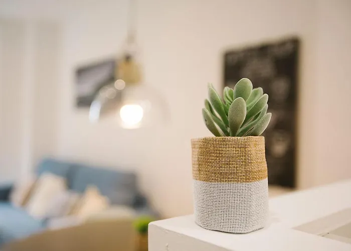 Apartamento Prim 26 San Sebastián